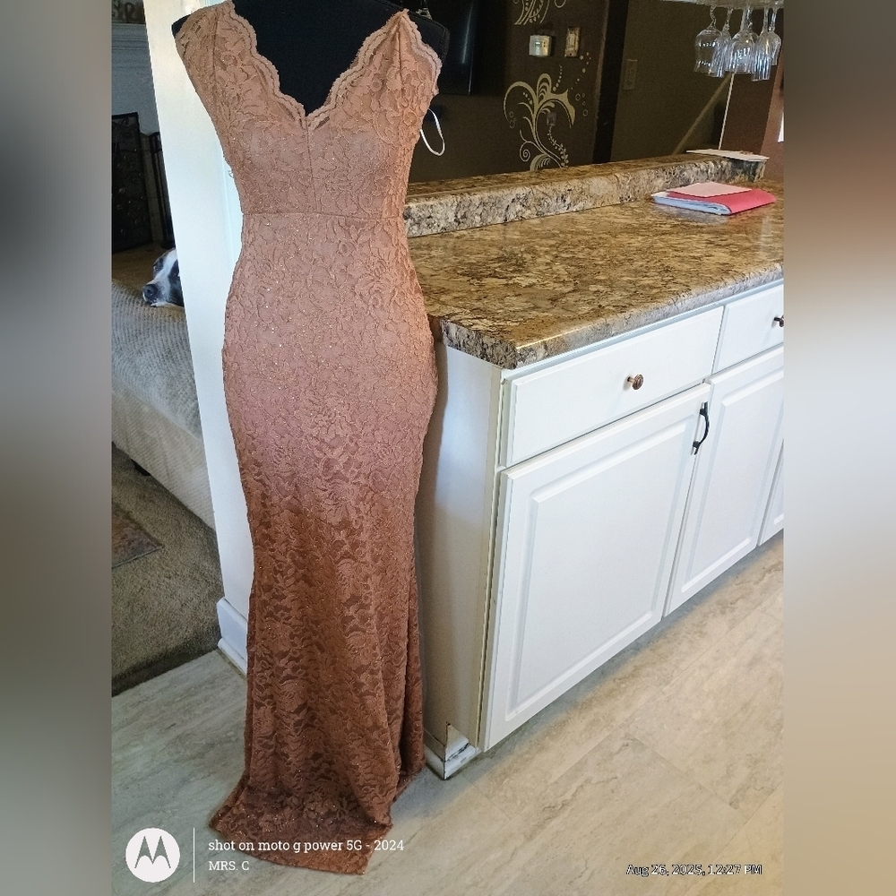 Windsor Lace Backless Dress in Rose Gold New With Tags Size Medium